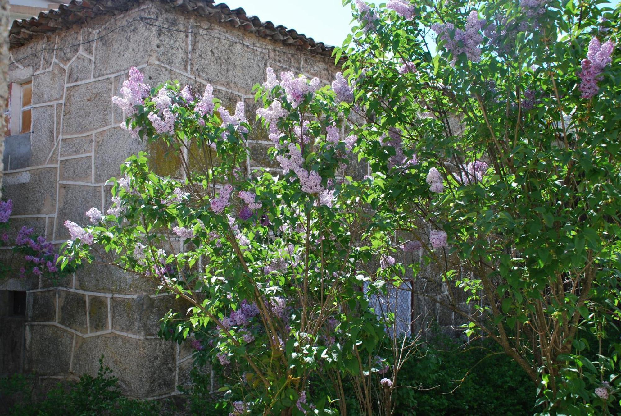 Refugio De Calheiros Villa Covilha Exterior photo