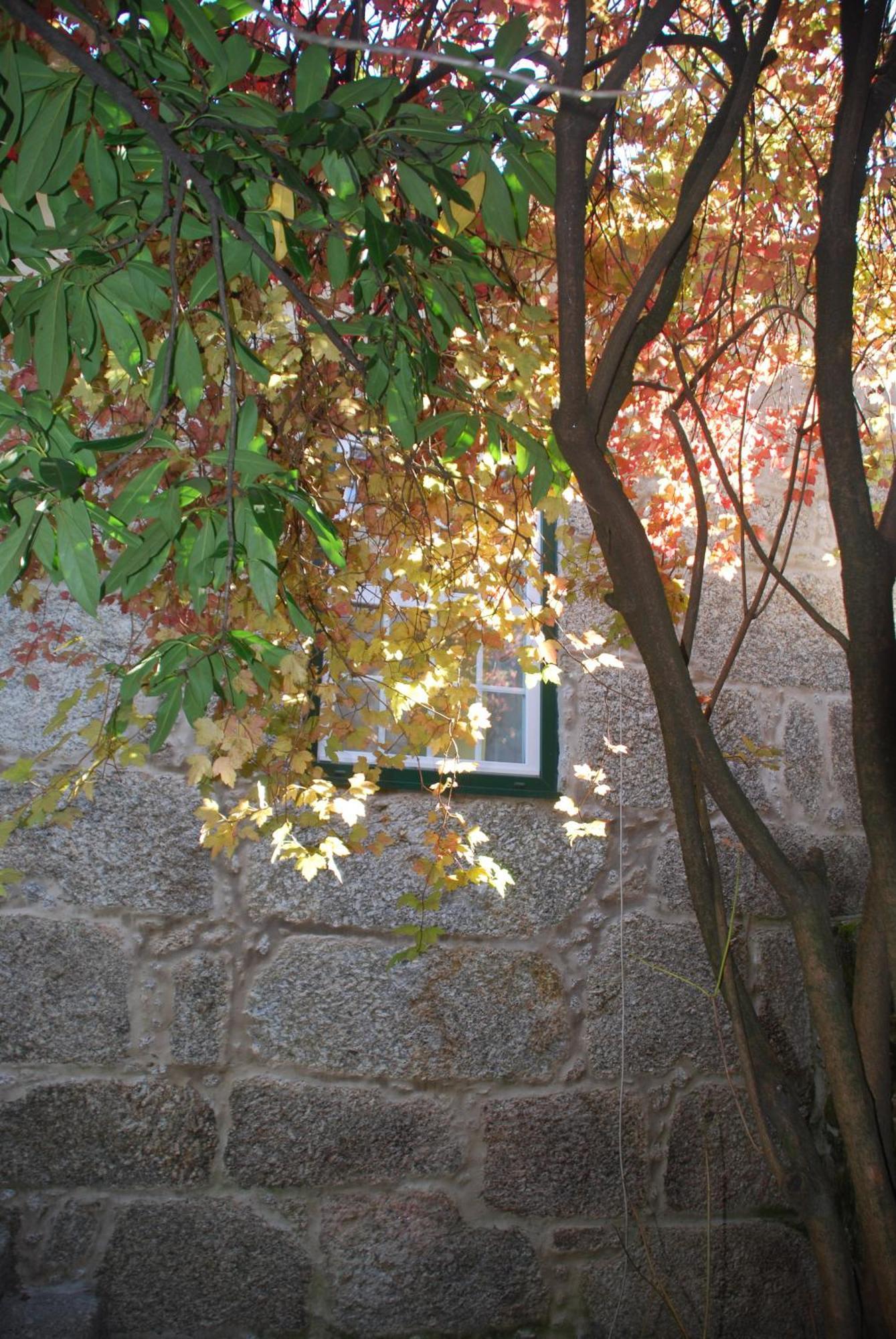 Refugio De Calheiros Villa Covilha Exterior photo